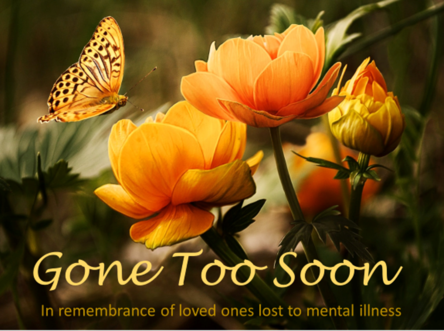 Orange flowers with butterfly and text reading Gone Too Soon, In remembrance of loved ones lost to mental illness